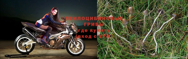 кокаин перу Арсеньев