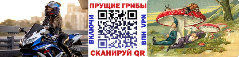 Галлюциногенные грибы ЛСД  купить   Пушкино 
