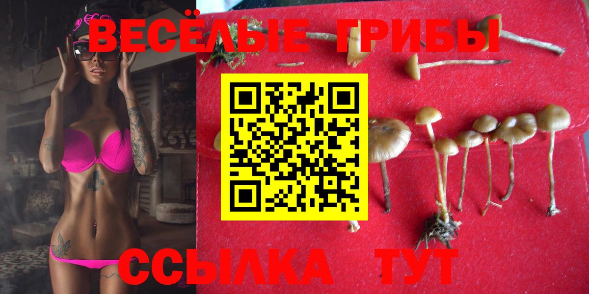 Галлюциногенные грибы GOLDEN TEACHER  Вход с VPN  Пушкино  Галлюциногенные грибы прущие грибы 